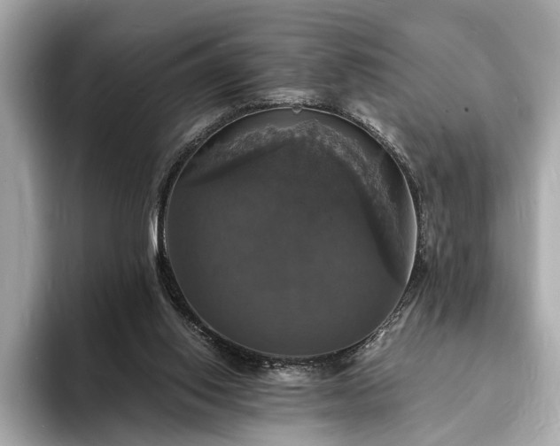 X0000094060062200710261234