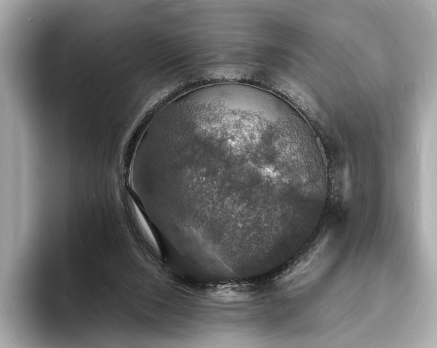 X0000094060064200710261234