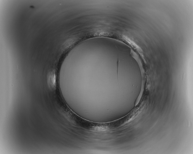 X0000094060067200710261234