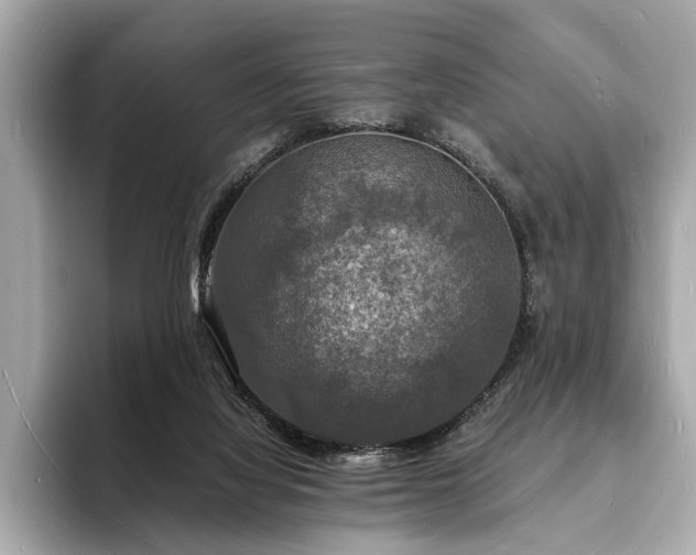 X0000094060068200710261234