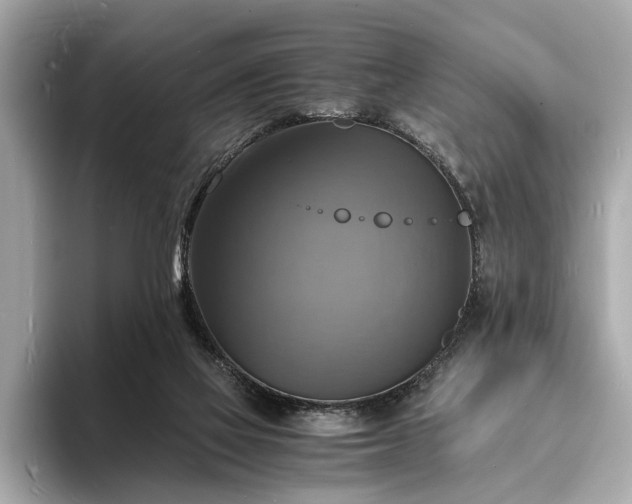 X0000094060069200710261234