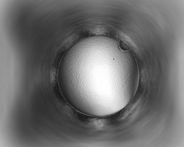 X0000094060073200710261234