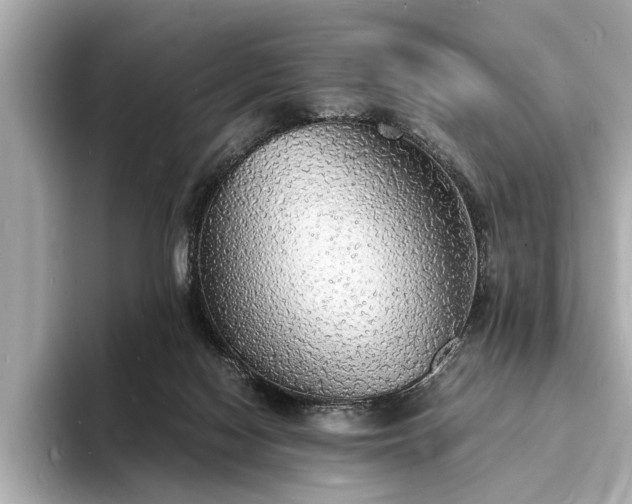 X0000094060074200710261234