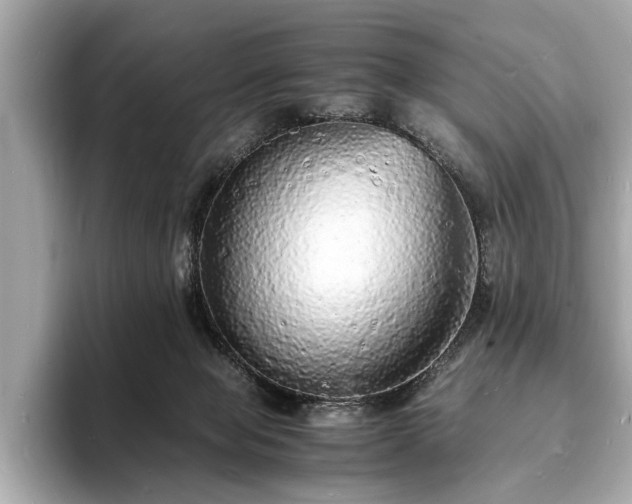 X0000094060077200710261234