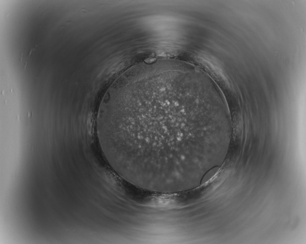 X0000094060078200710261234