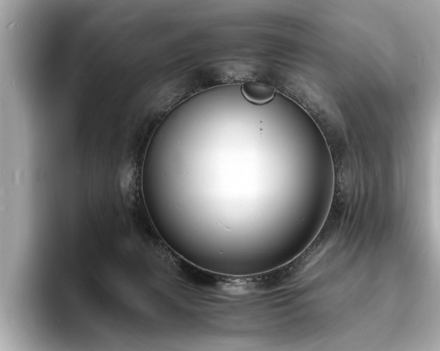 X0000094060079200710261234