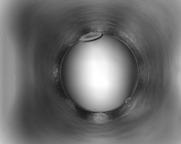 X0000094060087200710261234