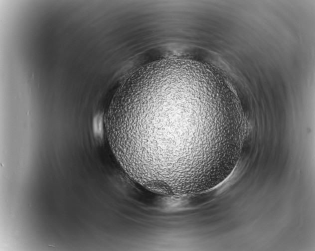 X0000094060094200710261235