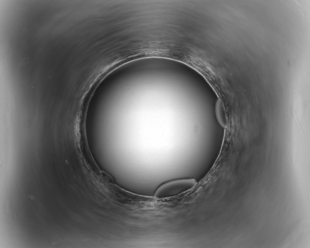 X0000094060098200710261234