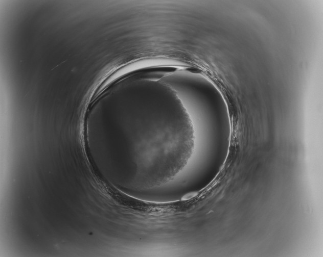 X0000094060099200710261234