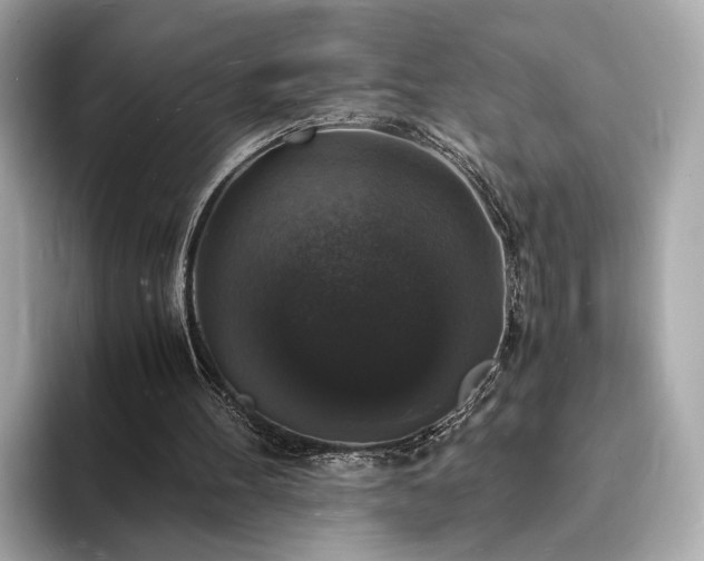 X0000094060100200710261234