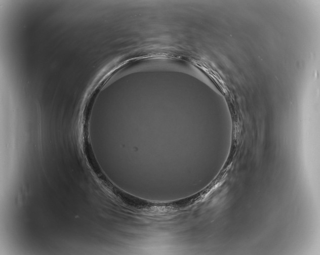 X0000094060101200710261234