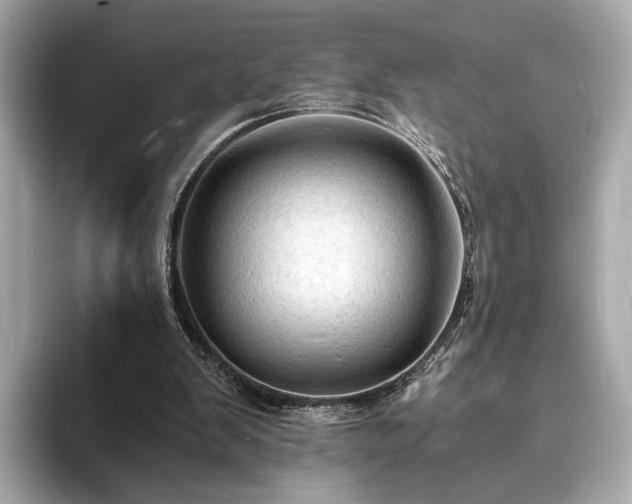 X0000094060103200710261234