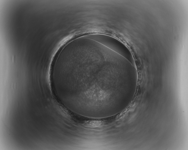 X0000094060104200710261234