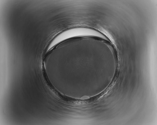 X0000094060105200710261234