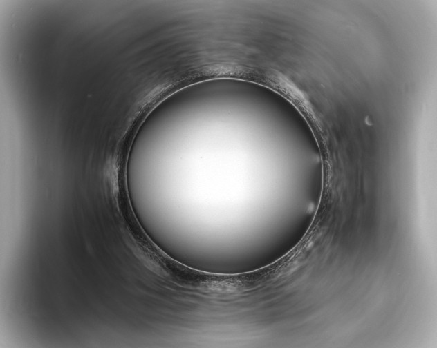 X0000094060106200710261234