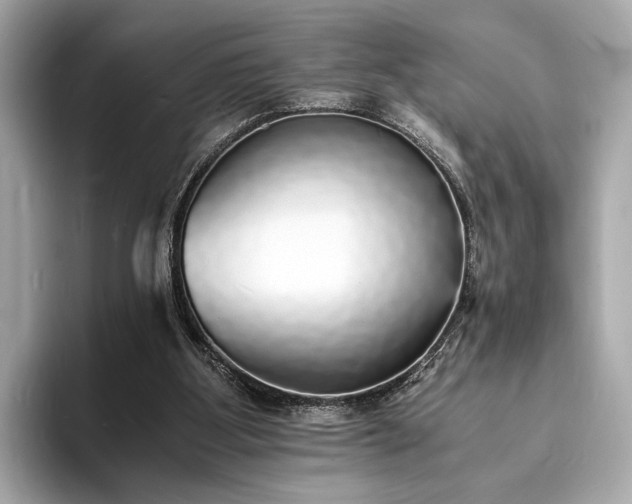 X0000094060107200710261234