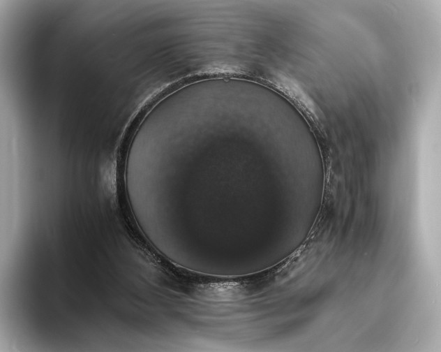 X0000094060108200710261234