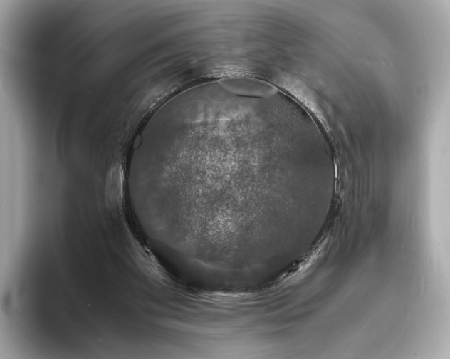 X0000094060109200710261234