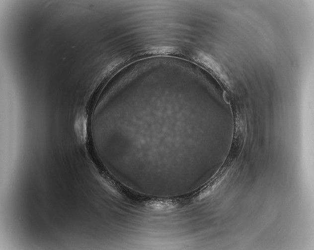 X0000094060110200710261234