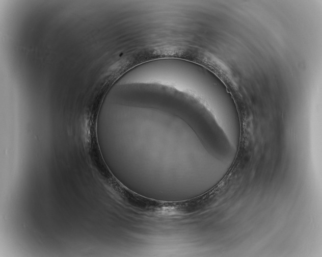 X0000094060114200710261234
