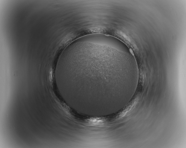 X0000094060117200710261234