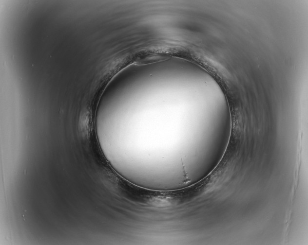 X0000094060119200710261233