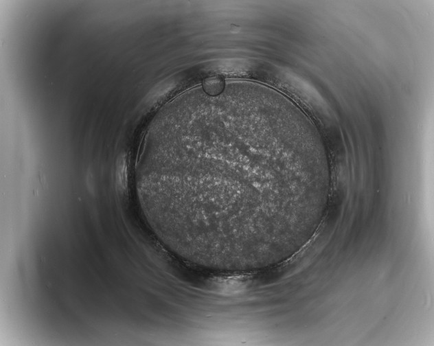 X0000094060120200710261233
