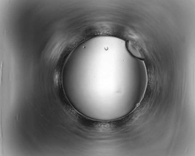 X0000094060123200710261233