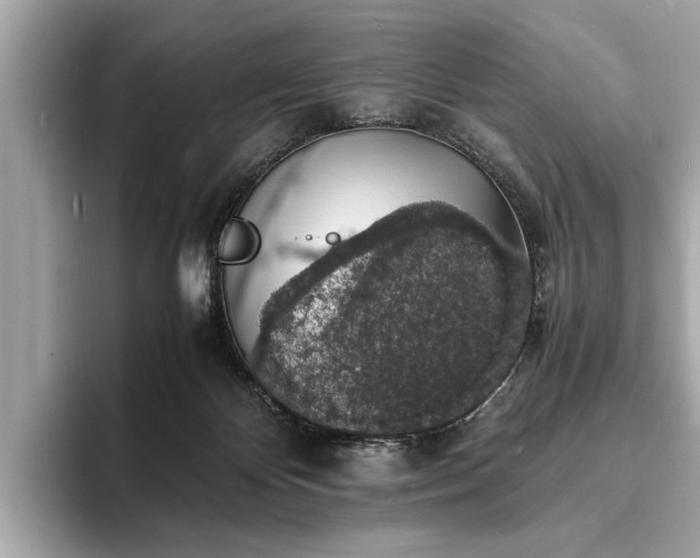 X0000094060124200710261233