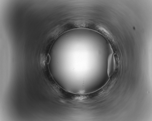 X0000094060125200710261233