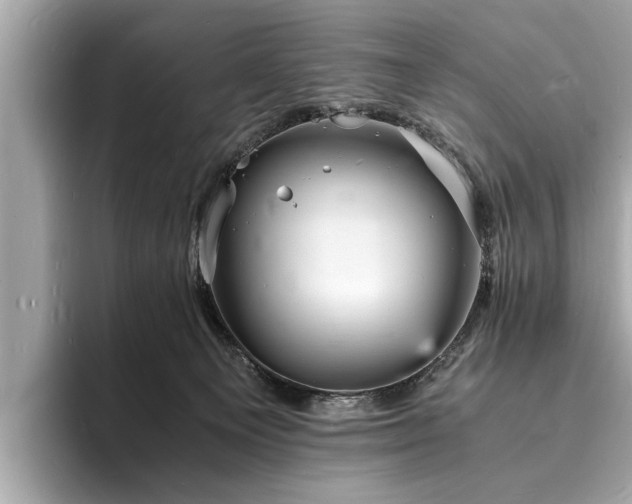 X0000094060129200710261233