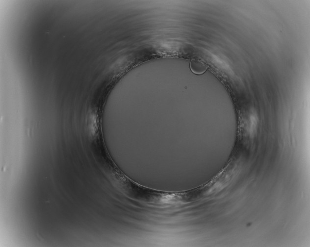 X0000094060130200710261233