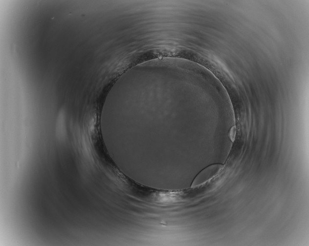 X0000094060134200710261233