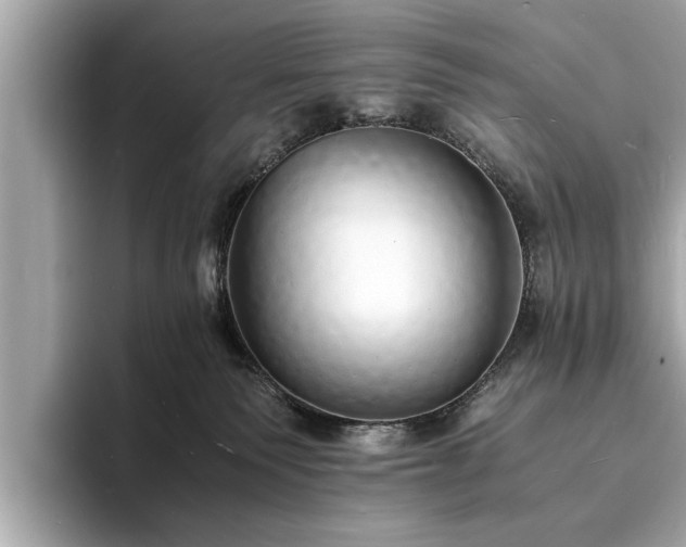 X0000094060135200710261233