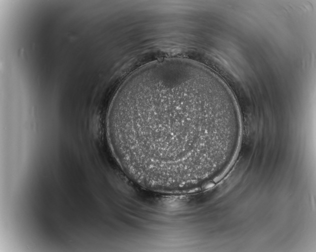 X0000094060136200710261233