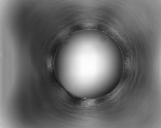 X0000094060138200710261233