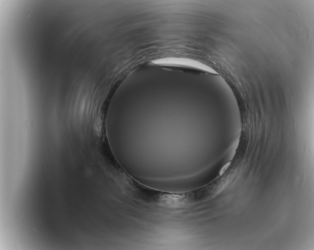 X0000094060139200710261233