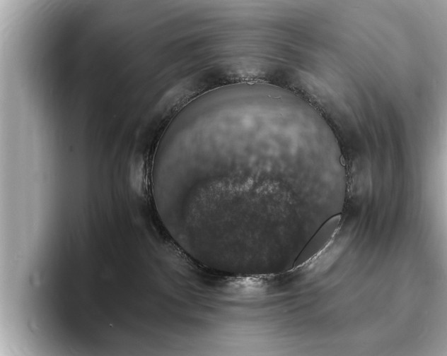 X0000094060140200710261233