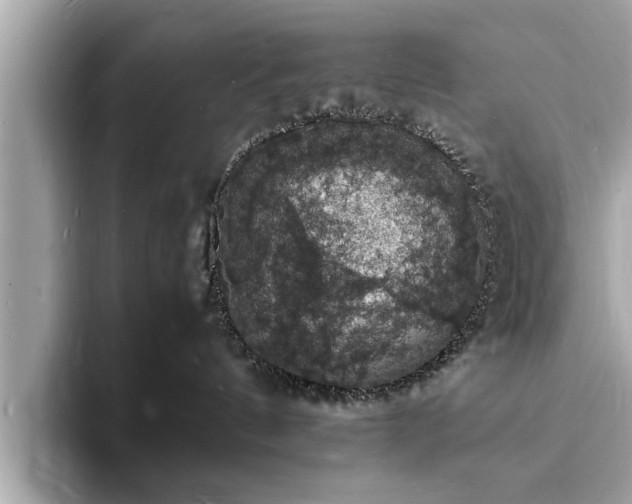 X0000094060144200710261233