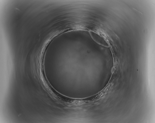 X0000094060145200710261233