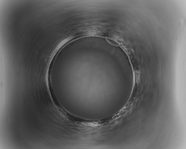 X0000094060147200710261233
