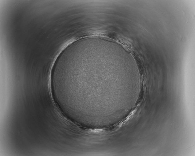 X0000094060148200710261233