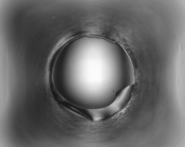 X0000094060150200710261233
