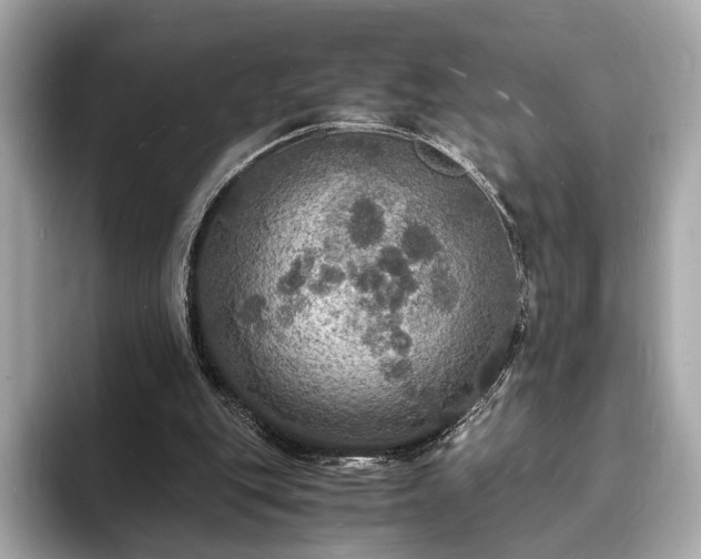 X0000094060151200710261233