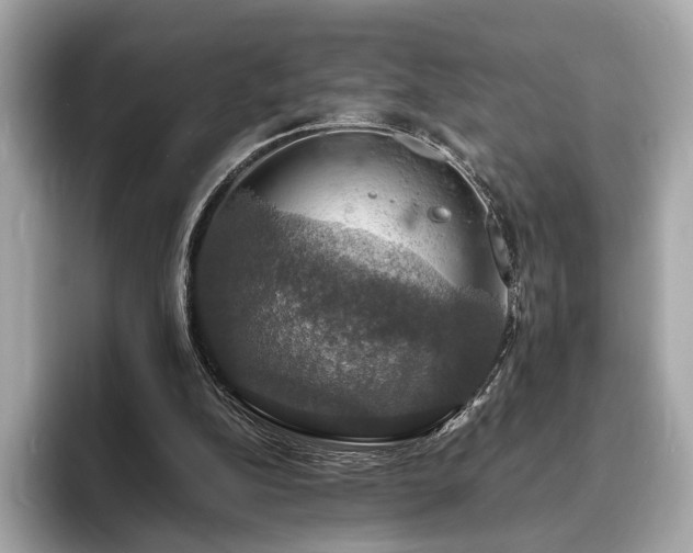 X0000094060152200710261233