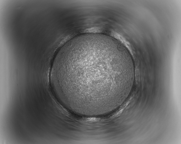 X0000094060153200710261233