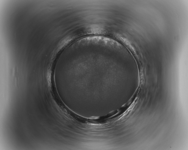 X0000094060154200710261233