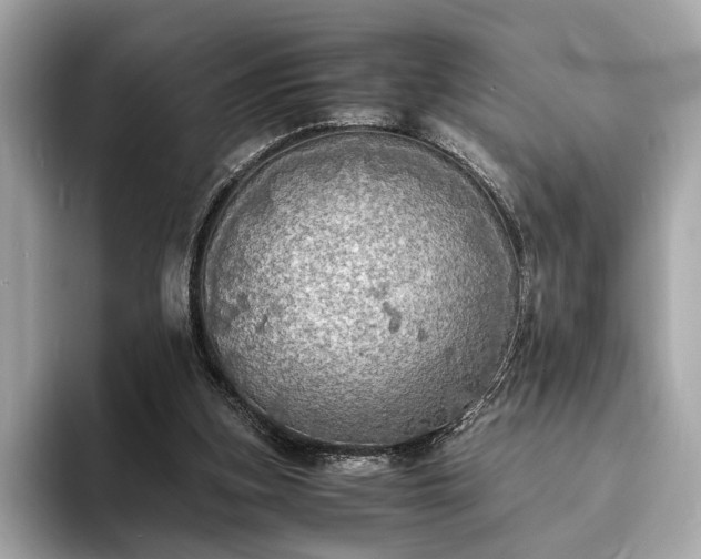 X0000094060155200710261233