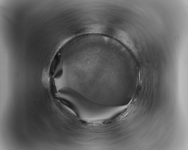 X0000094060156200710261233